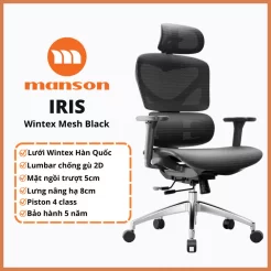 Ghế Công Thái Học Manson Iris Wintex - Chính Hãng - Bảo Hành 5 năm