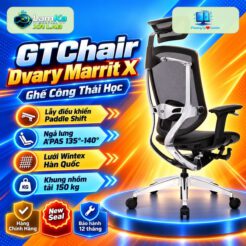 Ghế Công Thái Học Dvary Marrit X – Chính Hãng – Bảo Hành 5 năm