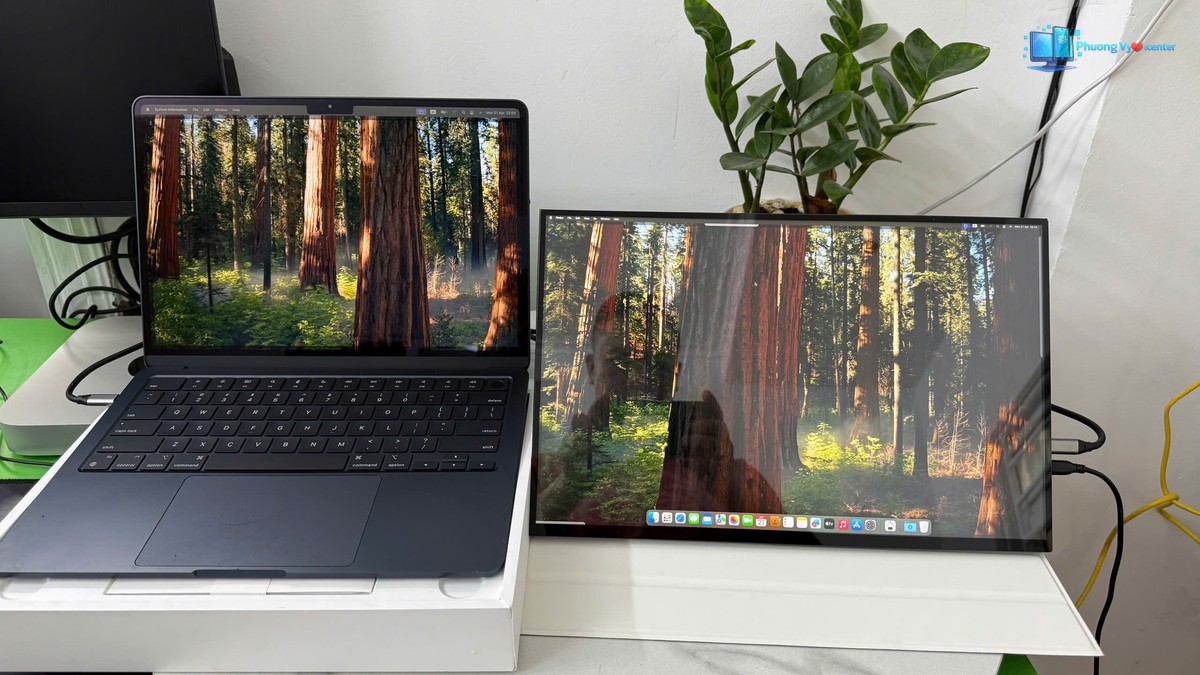 Apple MacBook Air M3 và màn hình ngoài cùng hiển thị hình nền rừng cây